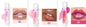 New Tube Lip Rich Lip Color Slightly Spicy Lip